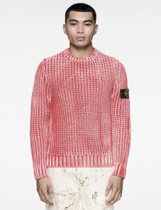 stone island ss icon imagery a