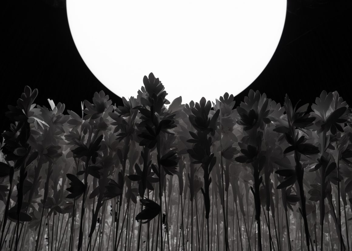 marc antoine barrois aldebaran parfum beaute kodd magazine