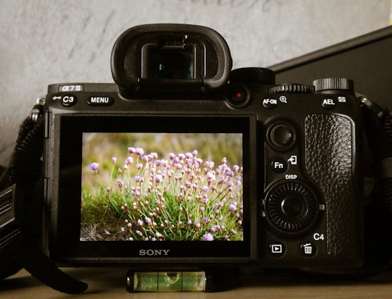 unsplash nick fewings phtotographie retro argente kodd magazine medias culture