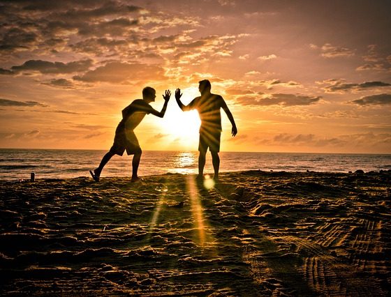 pixabay matheusseroa adopter style vie kodd magazine medias culture