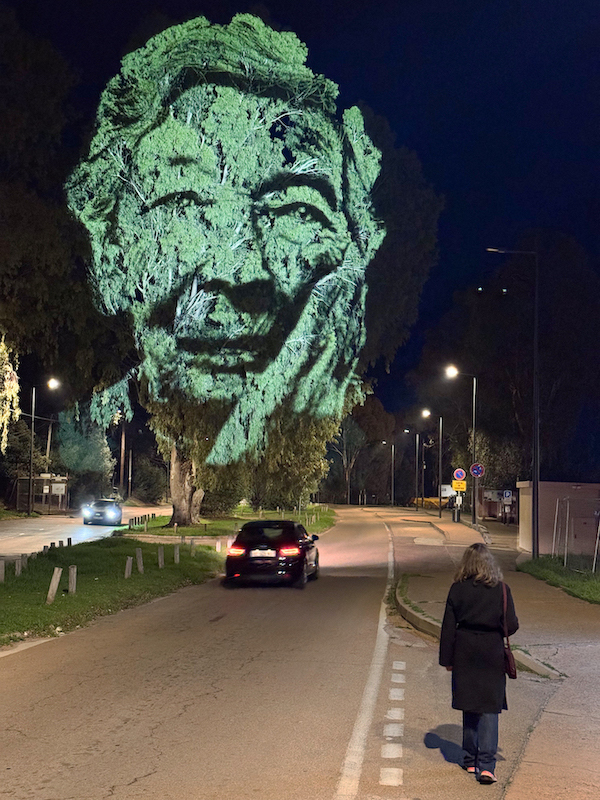 philippe echaroux tempi corse du sud corsica