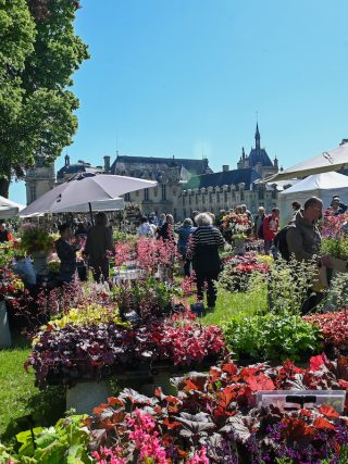 journees des plantes de chantilly ©vatrin muriel