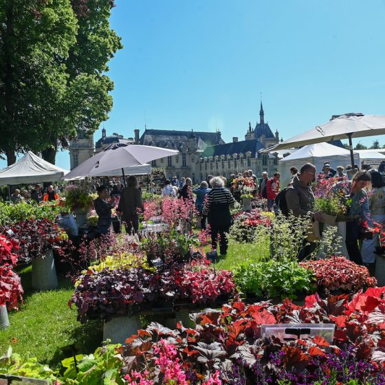 journees des plantes de chantilly ©vatrin muriel