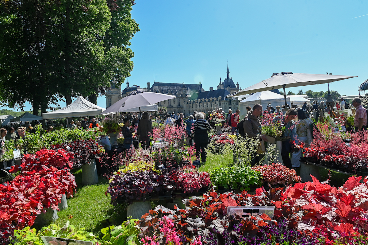 journees des plantes de chantilly ©vatrin muriel