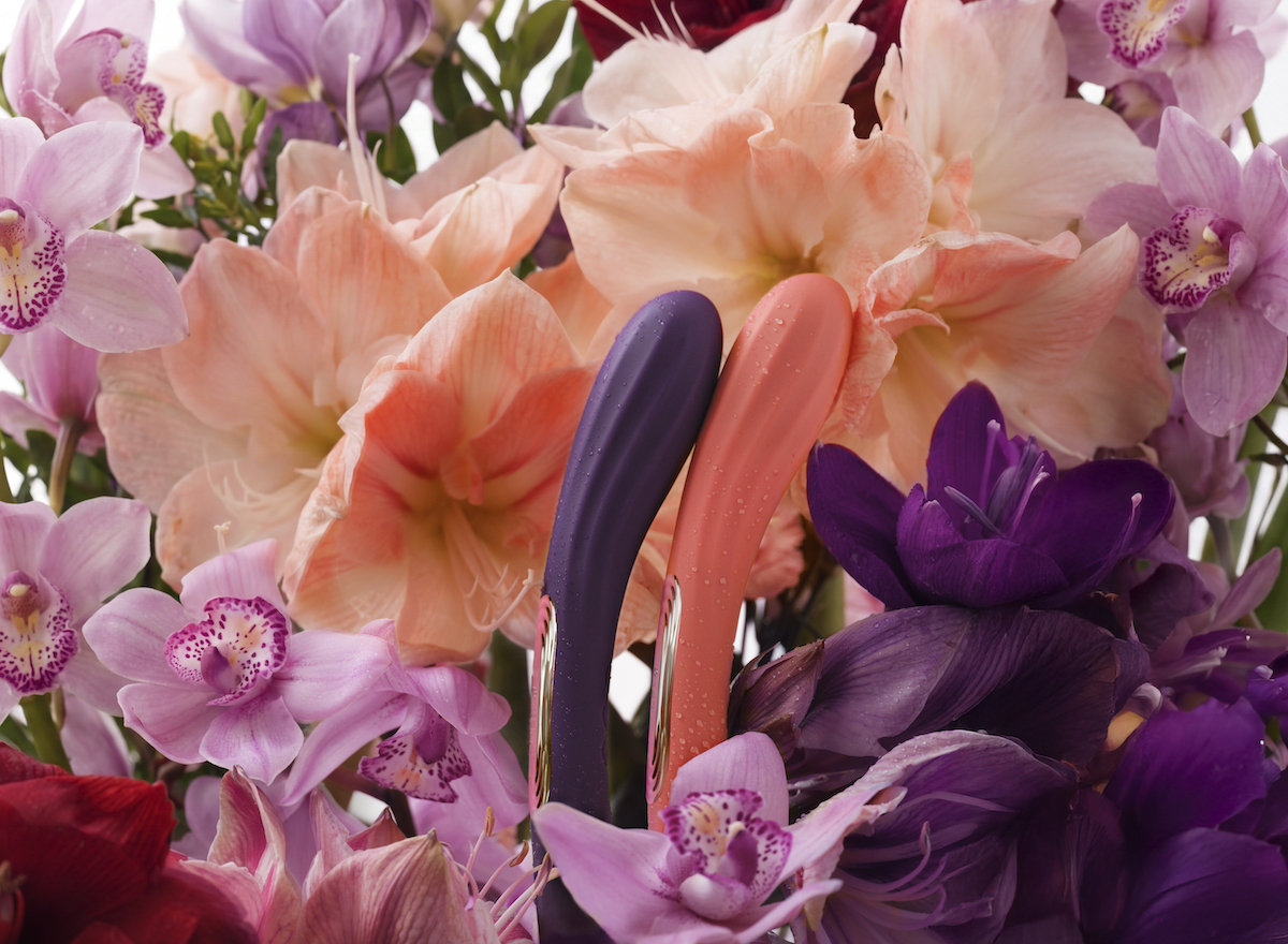 lelo boomerang kodd magazine medias sexualite sexuality