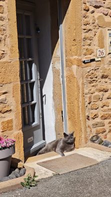 beaujolais pierres dorees kodd magazine medias beaute beauty