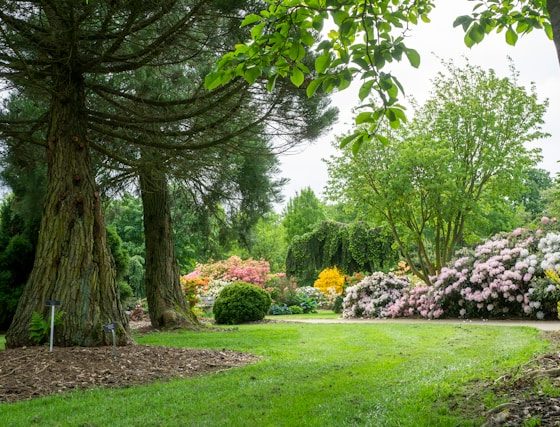 unsplash wietse jongsma jardin nature espace vert kodd magazine medias culture