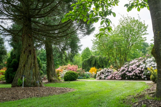 unsplash wietse jongsma jardin nature espace vert kodd magazine medias culture