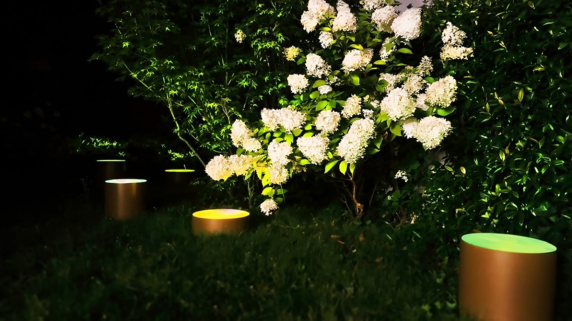 jardin guillaume bottazzi adagp paris kodd magazine medias culture art lifestyle jardin guillaume bottazzi adagp paris kodd magazine medias culture art lifestyle
