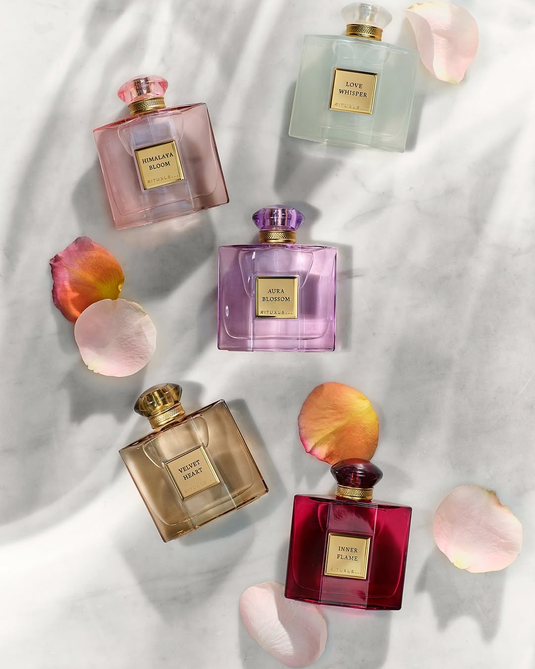 the founder collection kodd magazine medias beaute beauty parfums perfume the founder collection kodd magazine medias beaute beauty parfums perfume